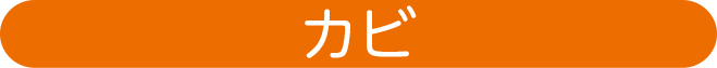 「カビ」
